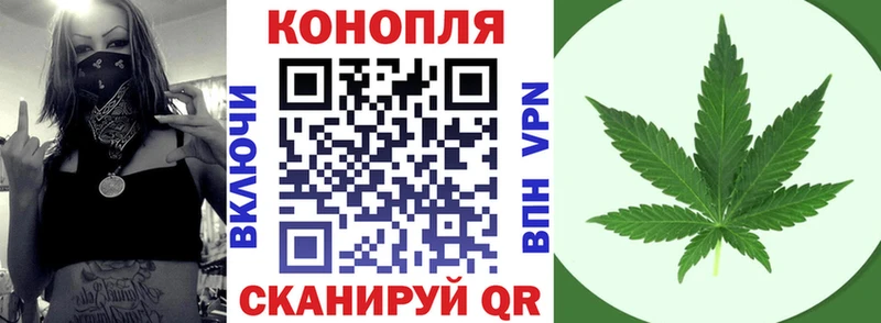 Купить закладки  Сухой Лог  Марихуана тримм 